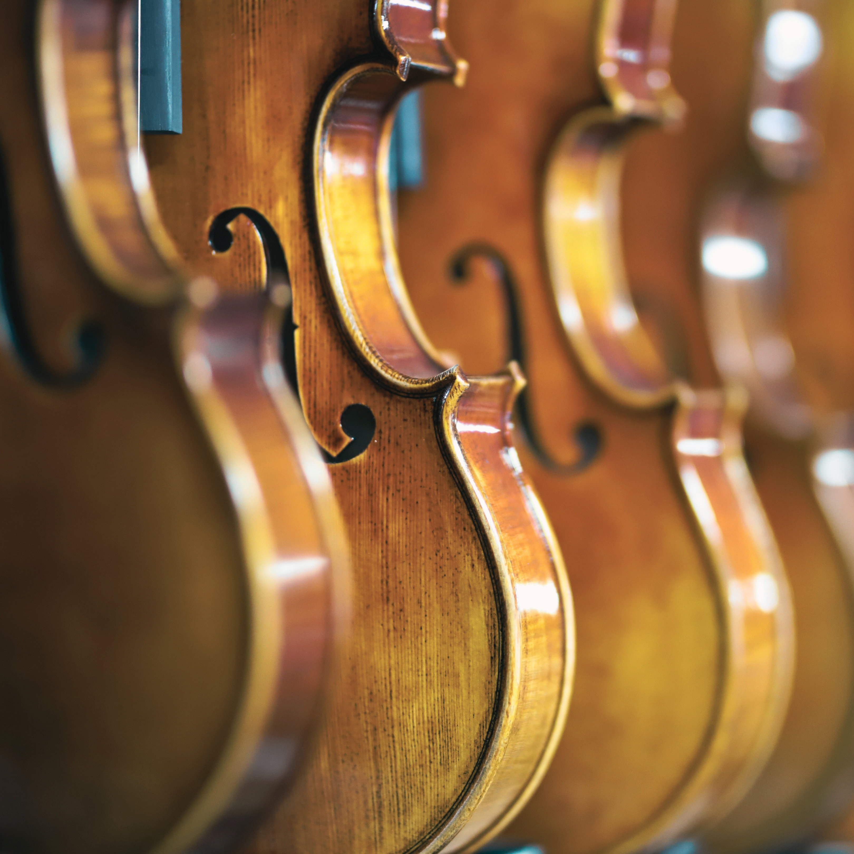 解説:ストラディバリウス