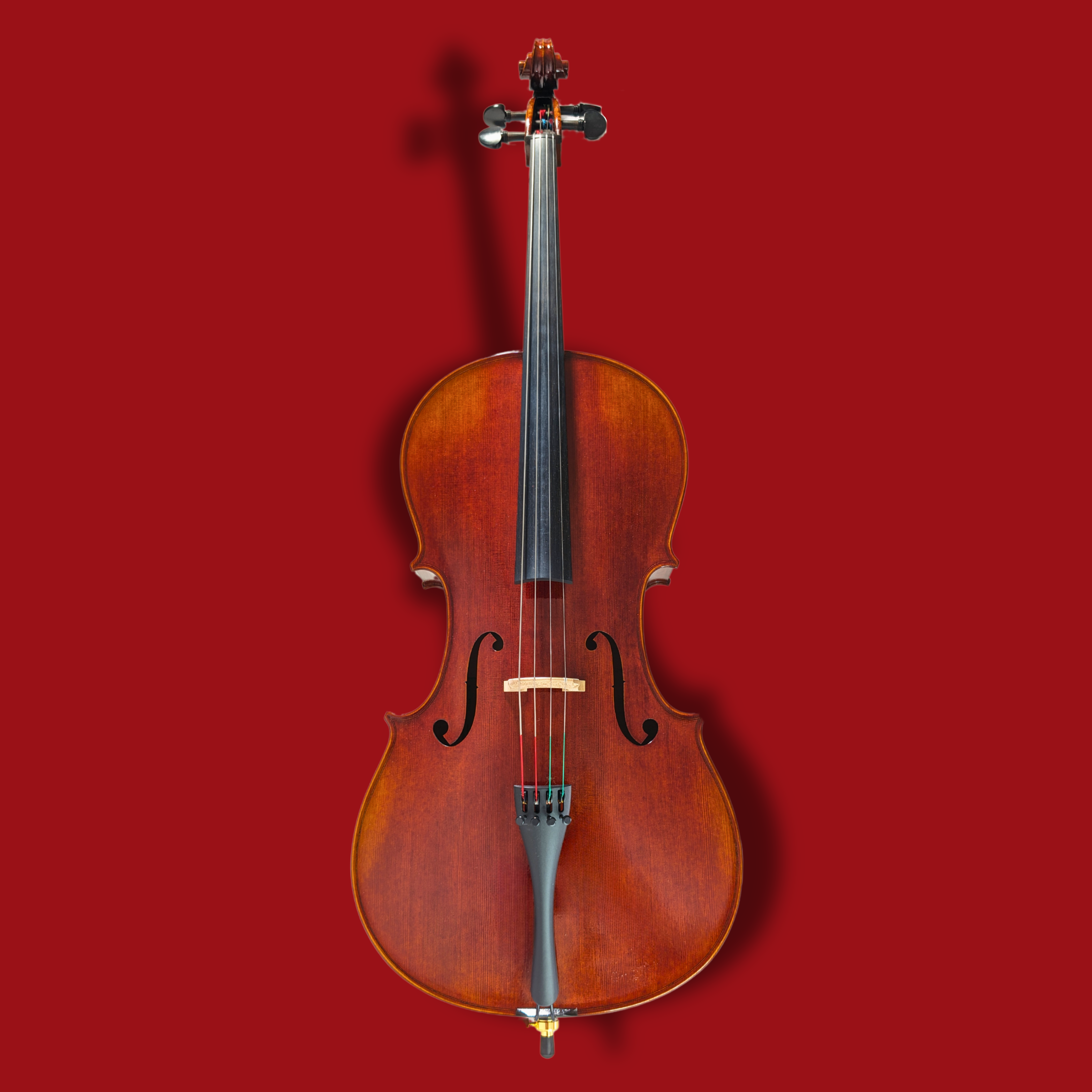 【チェロ本体】ニコロ・サンティ NSC240 アバンティ