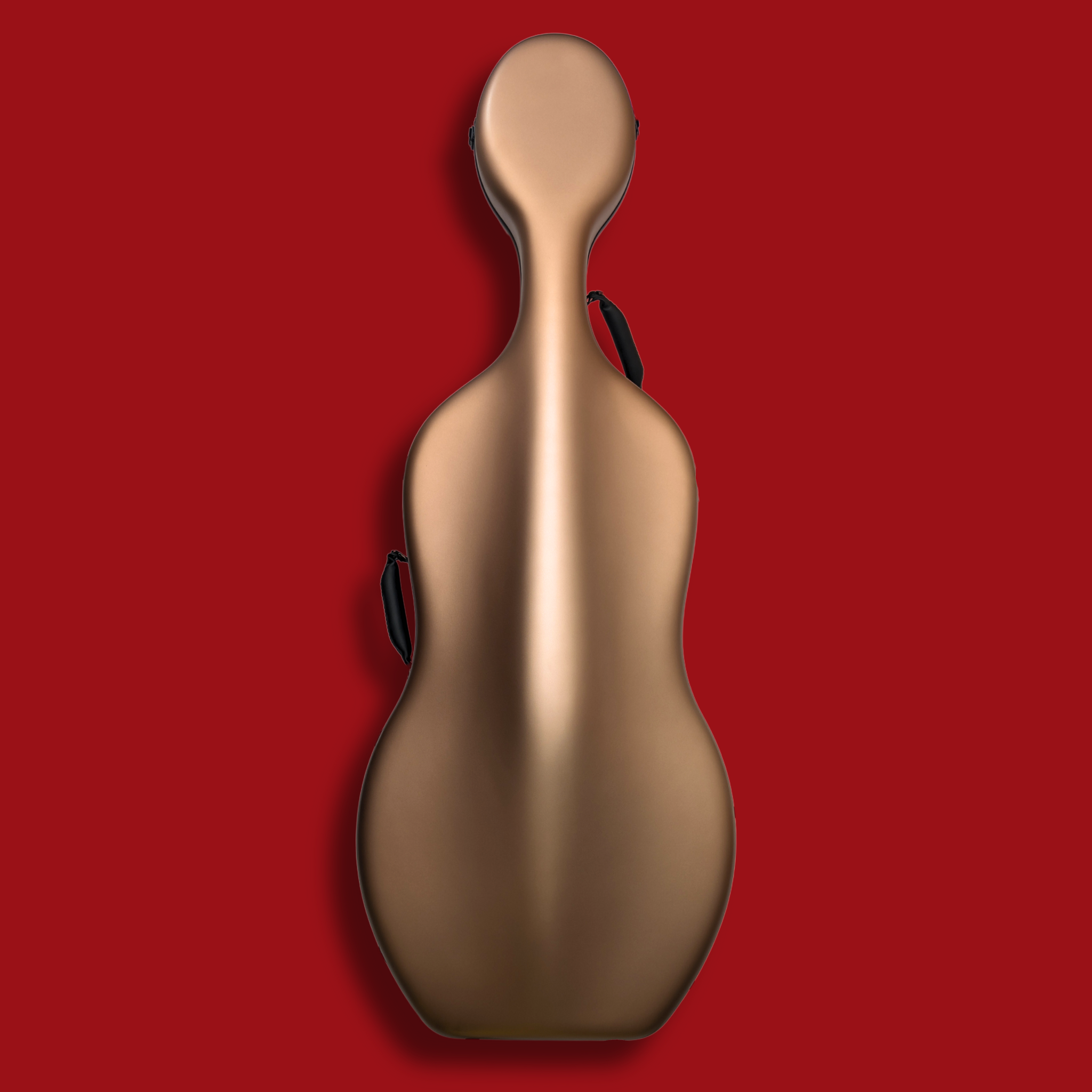 20250116_a6b708e7-e395-4ba4-