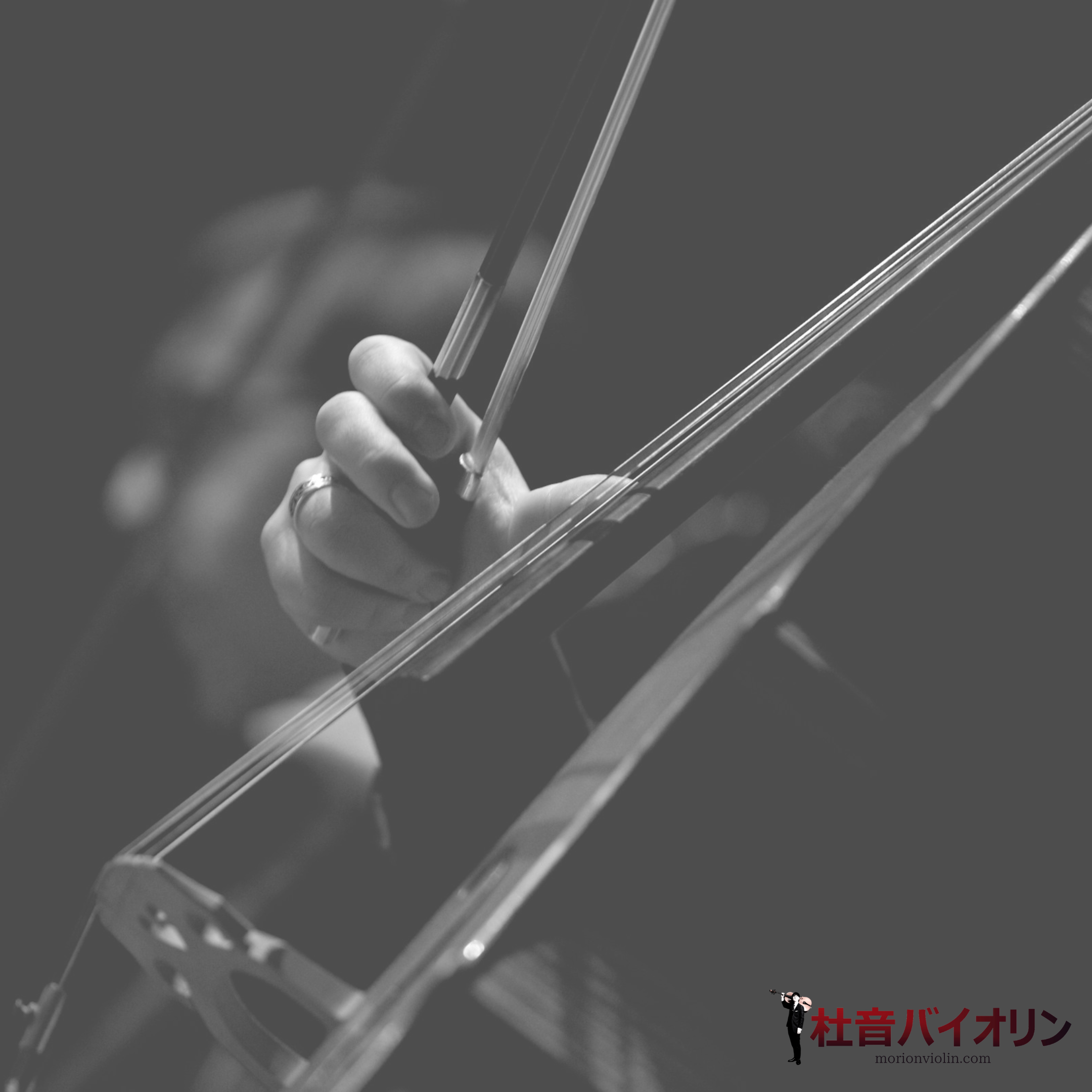 【ヴァイオリン弦】オブリガート
