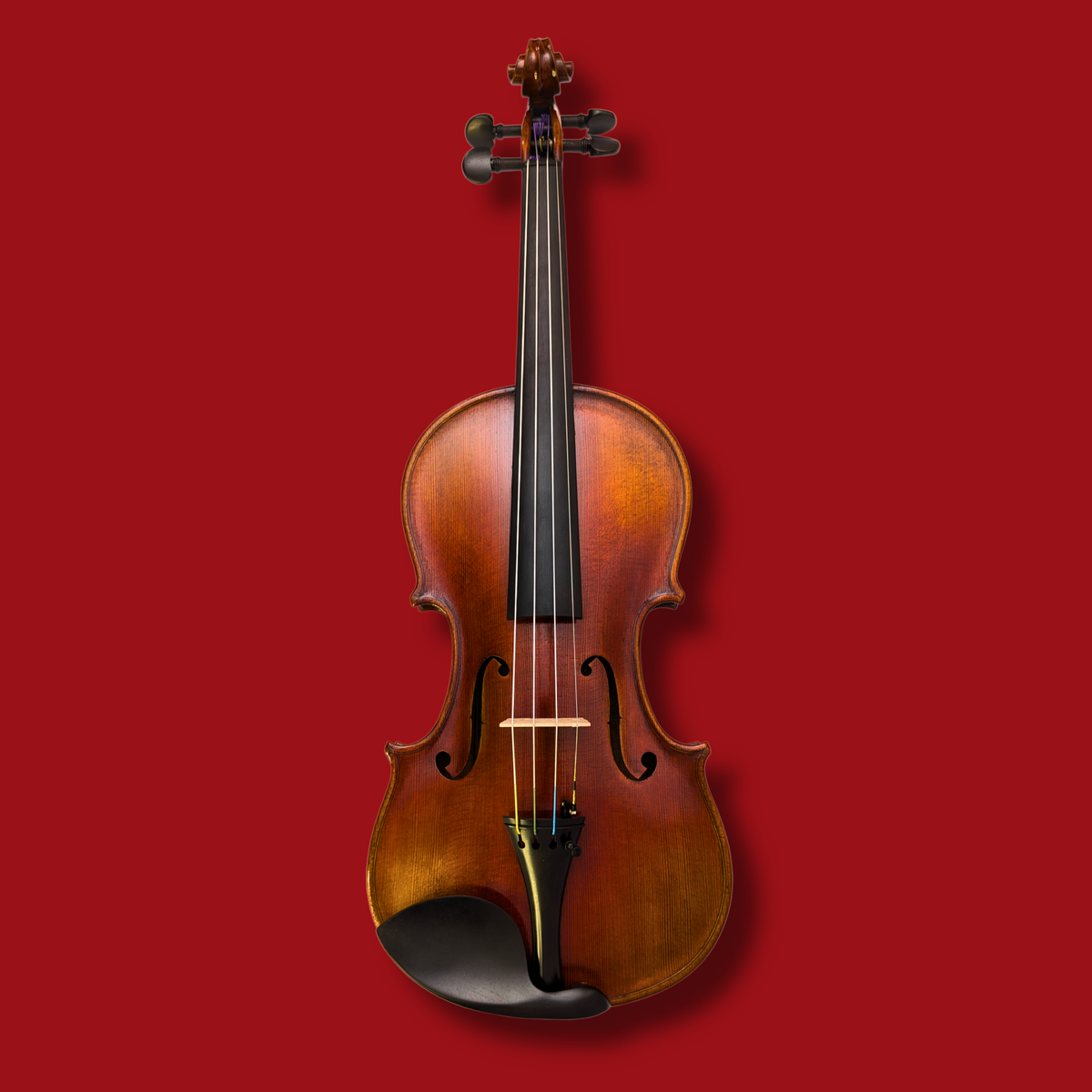 値下げ☆ニコロサンティ　バイオリン　1/2　Cuore　NSN78　2022 リンツ楽器 / Nicolo Santi(ニコロ サンティ)バイオリンセット