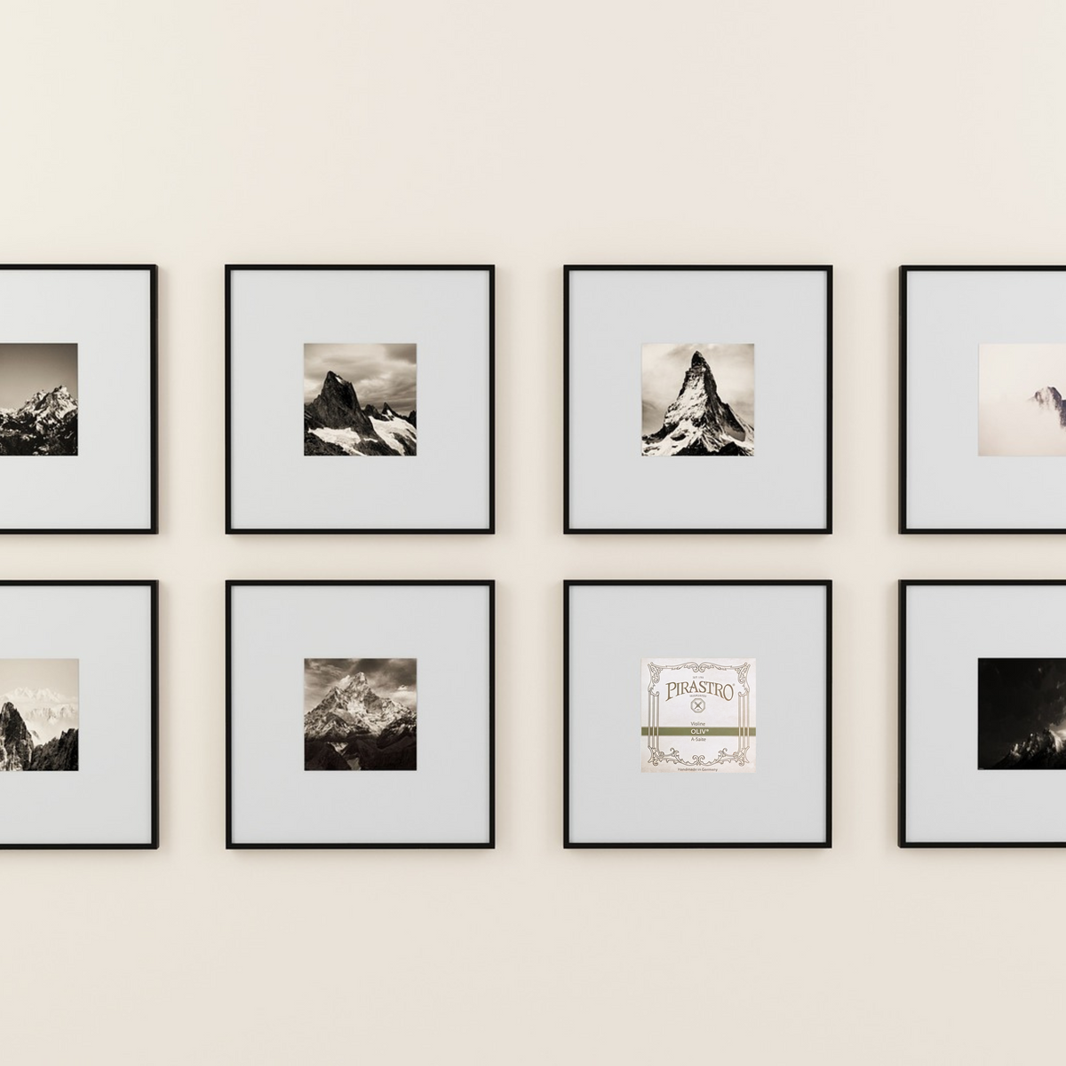 ヴァイオリン弦】オリーブ – 杜音バイオリン