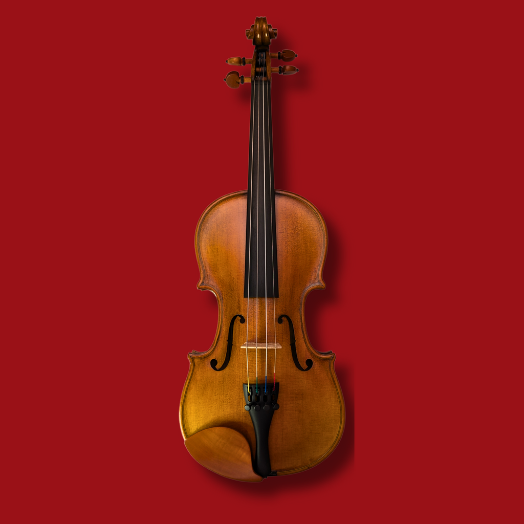 Nicolo Santi 虎杢 NSN50 1/4 バイオリン 2019年製 バイオリン | ニコロ・サンティ